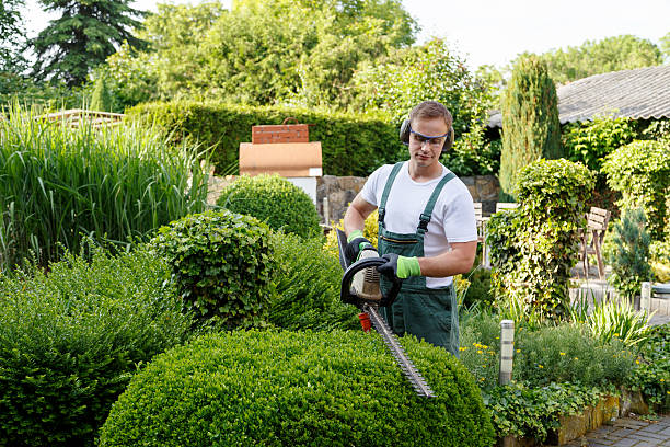 Best Landscape Design and Installation  in Oblong, IL